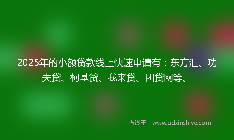 2025年的小额贷款线上快速申请有：东方汇、功夫贷、柯基贷、我来贷、团贷网等。
