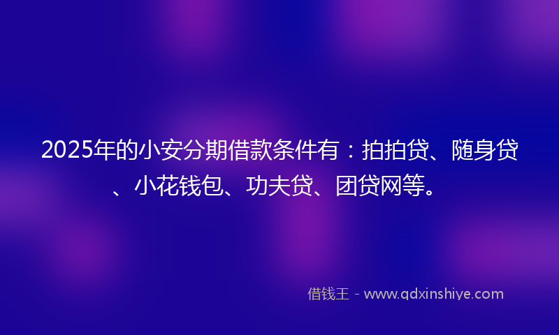 2025年的小安分期借款条件有：拍拍贷、随身贷、小花钱包、功夫贷、团贷网等。