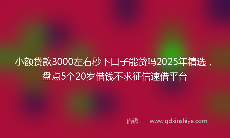 小额贷款3000左右秒下口子能贷吗2025年精选，盘点5个20岁借钱不求征信速借平台