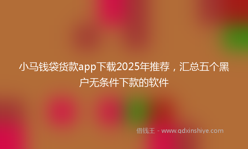 小马钱袋货款app下载2025年推荐，汇总五个黑户无条件下款的软件