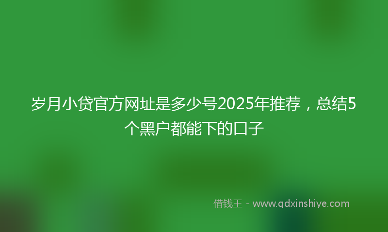 岁月小贷官方网址是多少号2025年推荐，总结5个黑户都能下的口子