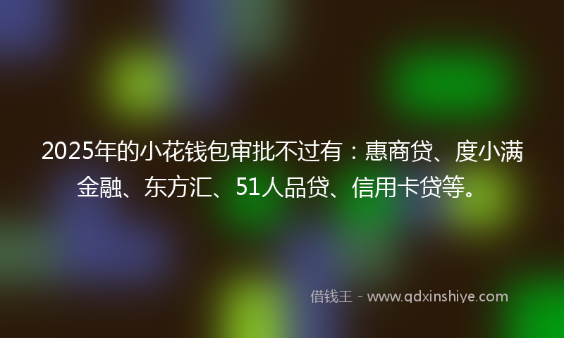 2025年的小花钱包审批不过有：惠商贷、度小满金融、东方汇、51人品贷、信用卡贷等。