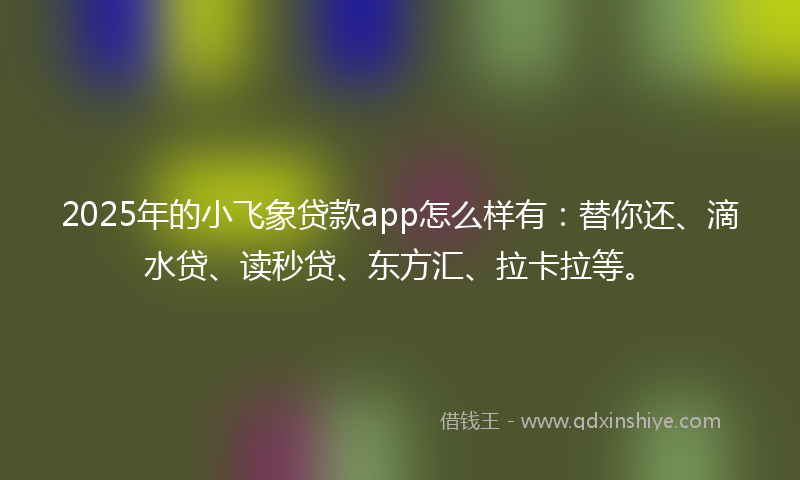 2025年的小飞象贷款app怎么样有：替你还、滴水贷、读秒贷、东方汇、拉卡拉等。