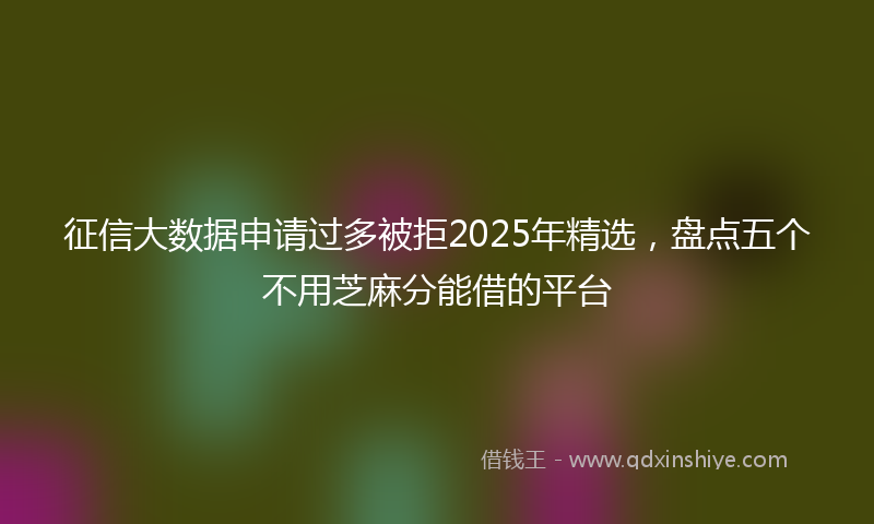 征信大数据申请过多被拒2025年精选，盘点五个不用芝麻分能借的平台
