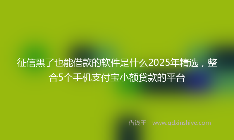 征信黑了也能借款的软件是什么2025年精选，整合5个手机支付宝小额贷款的平台