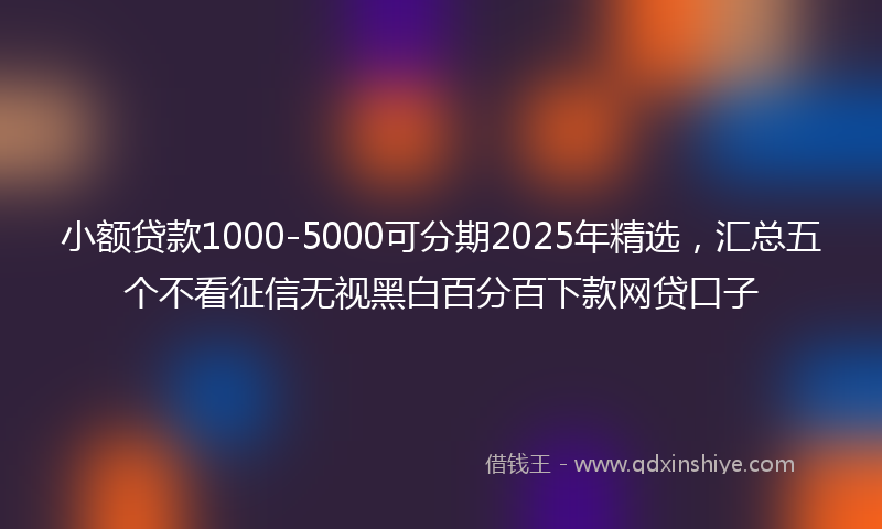 小额贷款1000-5000可分期2025年精选，汇总五个不看征信无视黑白百分百下款网贷口子