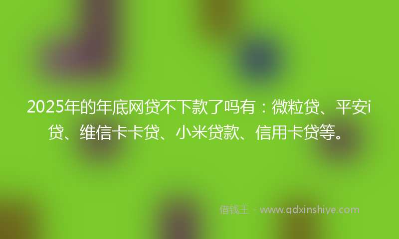 2025年的年底网贷不下款了吗有：微粒贷、平安i贷、维信卡卡贷、小米贷款、信用卡贷等。