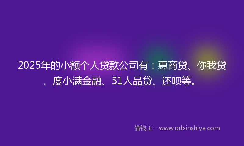 2025年的小额个人贷款公司有：惠商贷、你我贷、度小满金融、51人品贷、还呗等。