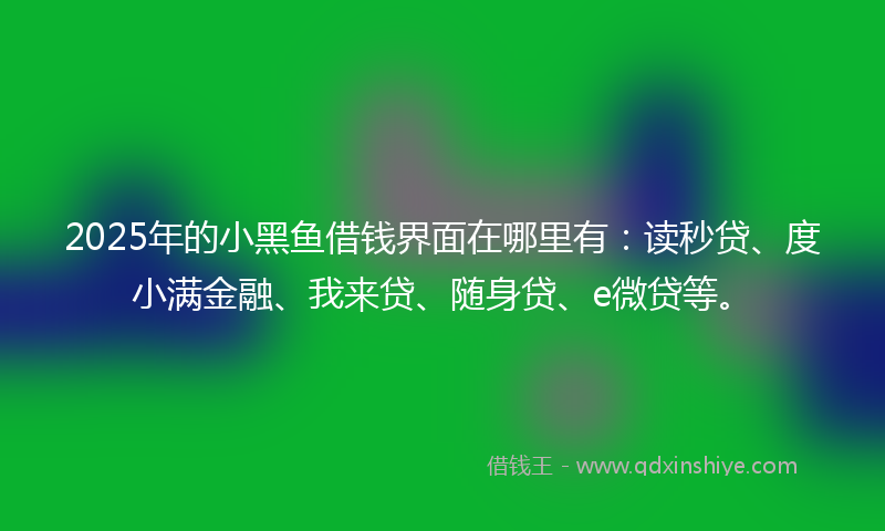 2025年的小黑鱼借钱界面在哪里有：读秒贷、度小满金融、我来贷、随身贷、e微贷等。