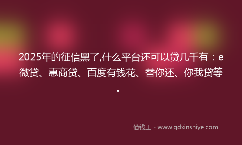 2025年的征信黑了,什么平台还可以贷几千有：e微贷、惠商贷、百度有钱花、替你还、你我贷等。
