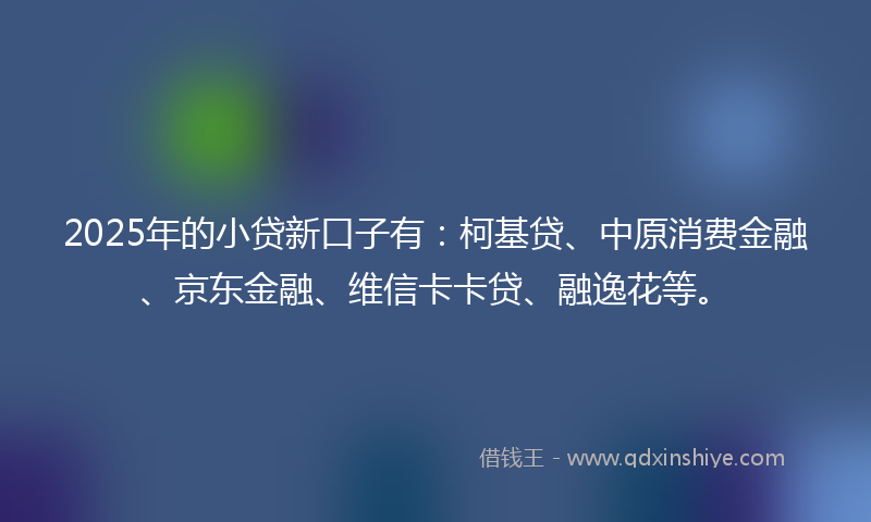 2025年的小贷新口子有：柯基贷、中原消费金融、京东金融、维信卡卡贷、融逸花等。