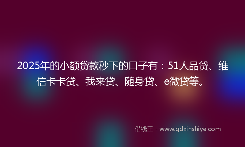 2025年的小额贷款秒下的口子有：51人品贷、维信卡卡贷、我来贷、随身贷、e微贷等。