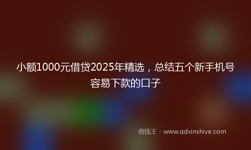 小额1000元借贷2025年精选，总结五个新手机号容易下款的口子