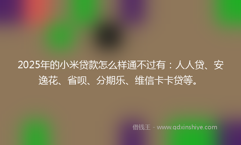 2025年的小米贷款怎么样通不过有：人人贷、安逸花、省呗、分期乐、维信卡卡贷等。