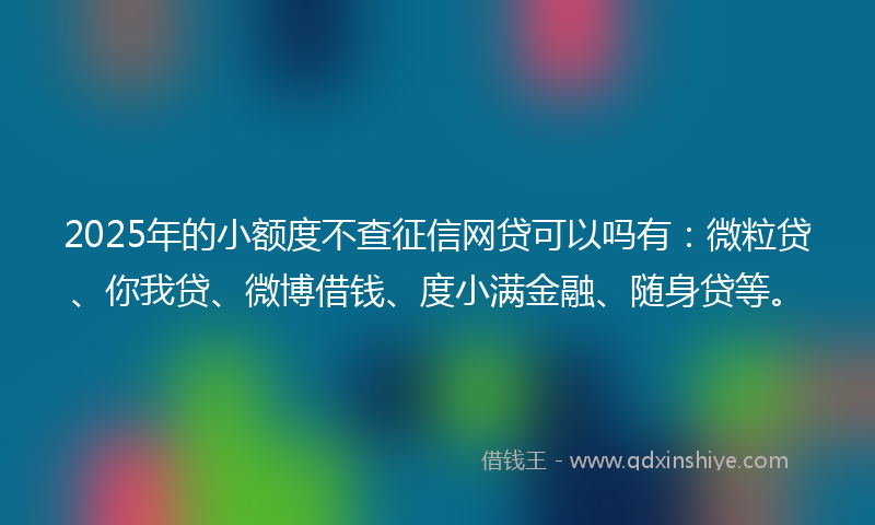2025年的小额度不查征信网贷可以吗有：微粒贷、你我贷、微博借钱、度小满金融、随身贷等。