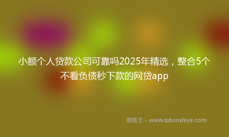 小额个人贷款公司可靠吗2025年精选，整合5个不看负债秒下款的网贷app