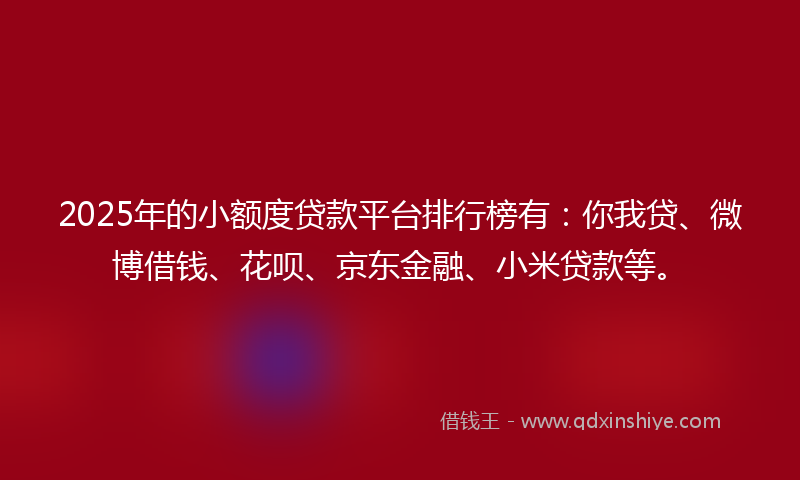 2025年的小额度贷款平台排行榜有：你我贷、微博借钱、花呗、京东金融、小米贷款等。