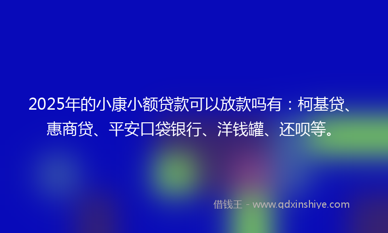 2025年的小康小额贷款可以放款吗有：柯基贷、惠商贷、平安口袋银行、洋钱罐、还呗等。