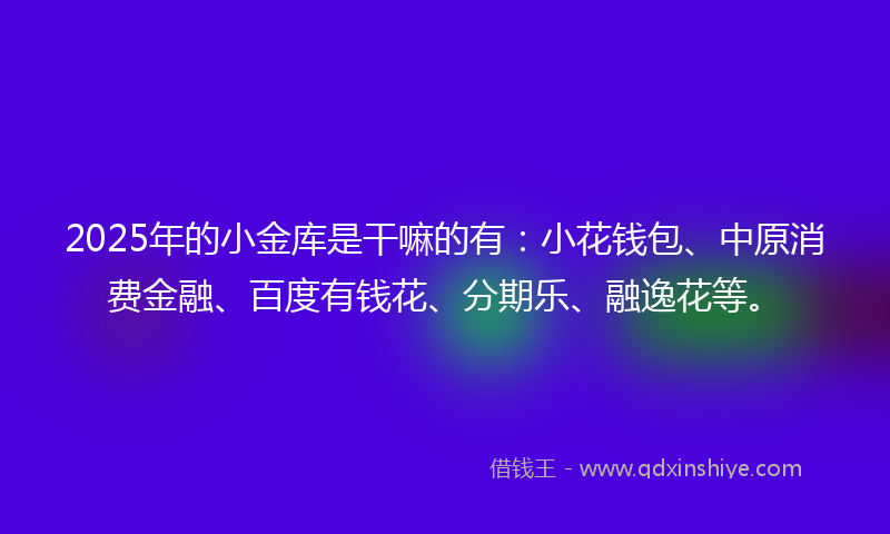 2025年的小金库是干嘛的有：小花钱包、中原消费金融、百度有钱花、分期乐、融逸花等。