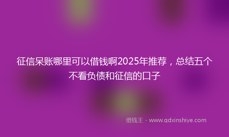 征信呆账哪里可以借钱啊2025年推荐，总结五个不看负债和征信的口子