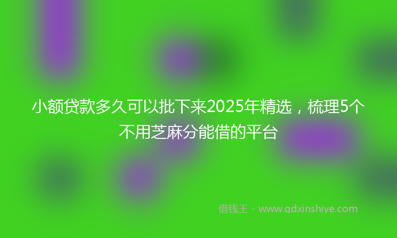 小额贷款多久可以批下来2025年精选，梳理5个不用芝麻分能借的平台