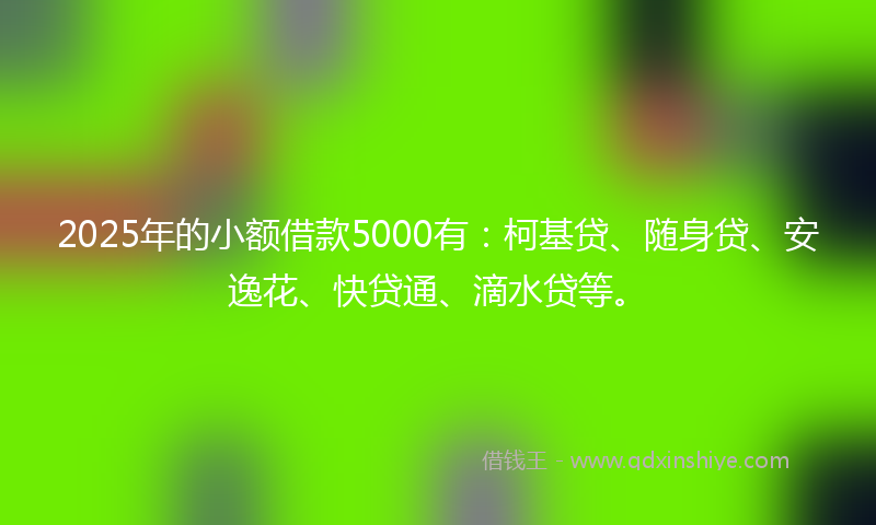 2025年的小额借款5000有：柯基贷、随身贷、安逸花、快贷通、滴水贷等。