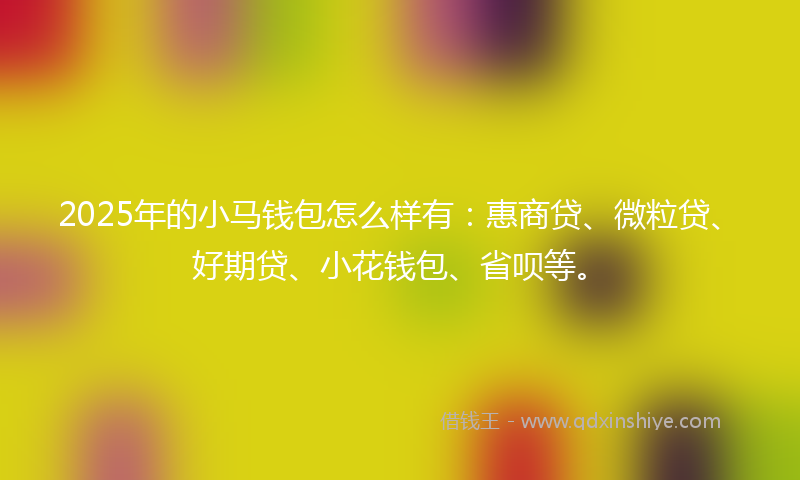2025年的小马钱包怎么样有：惠商贷、微粒贷、好期贷、小花钱包、省呗等。