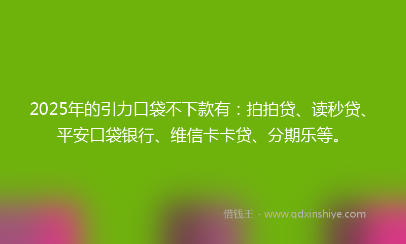 2025年的引力口袋不下款有：拍拍贷、读秒贷、平安口袋银行、维信卡卡贷、分期乐等。