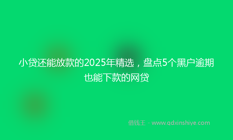 小贷还能放款的2025年精选，盘点5个黑户逾期也能下款的网贷