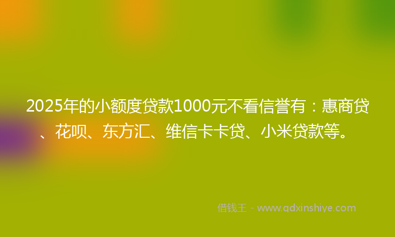 2025年的小额度贷款1000元不看信誉有：惠商贷、花呗、东方汇、维信卡卡贷、小米贷款等。