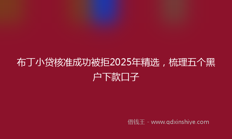 布丁小贷核准成功被拒2025年精选，梳理五个黑户下款口子