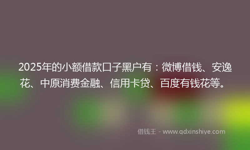 2025年的小额借款口子黑户有：微博借钱、安逸花、中原消费金融、信用卡贷、百度有钱花等。