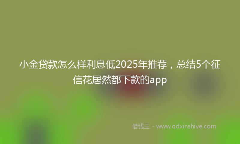 小金贷款怎么样利息低2025年推荐，总结5个征信花居然都下款的app