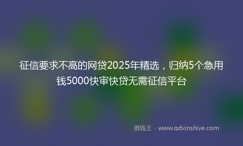 征信要求不高的网贷2025年精选，归纳5个急用钱5000快审快贷无需征信平台