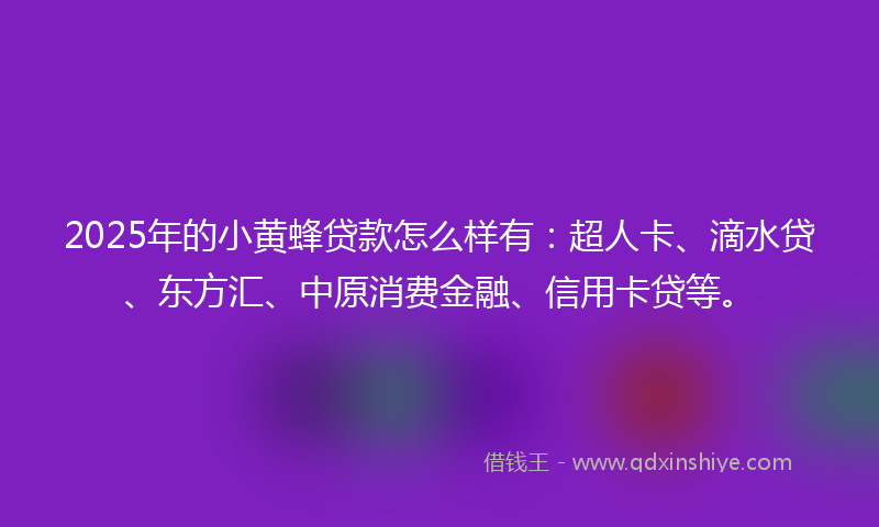 2025年的小黄蜂贷款怎么样有：超人卡、滴水贷、东方汇、中原消费金融、信用卡贷等。