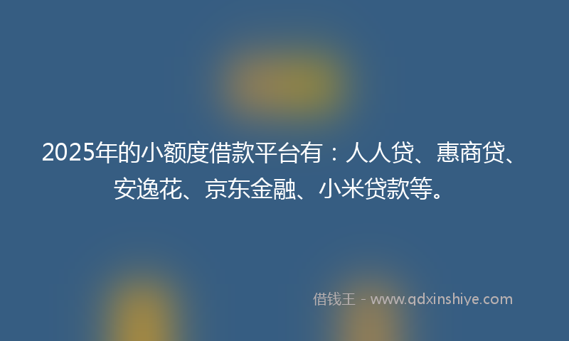 2025年的小额度借款平台有：人人贷、惠商贷、安逸花、京东金融、小米贷款等。