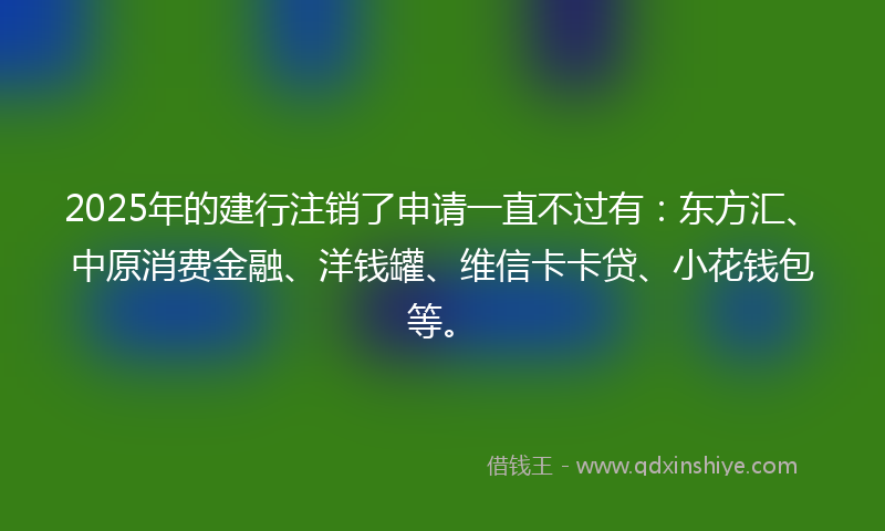 2025年的建行注销了申请一直不过有：东方汇、中原消费金融、洋钱罐、维信卡卡贷、小花钱包等。