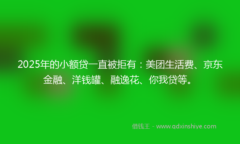 2025年的小额贷一直被拒有：美团生活费、京东金融、洋钱罐、融逸花、你我贷等。