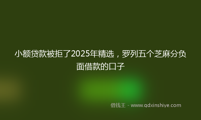 小额贷款被拒了2025年精选，罗列五个芝麻分负面借款的口子