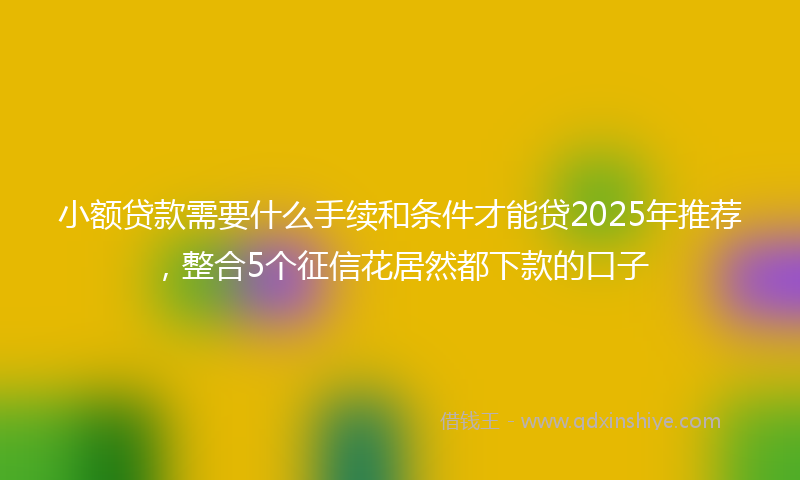 小额贷款需要什么手续和条件才能贷2025年推荐，整合5个征信花居然都下款的口子