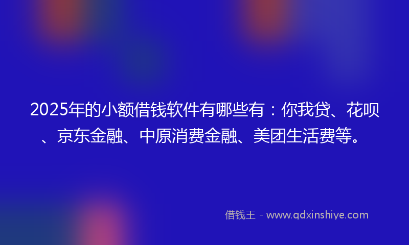 2025年的小额借钱软件有哪些有：你我贷、花呗、京东金融、中原消费金融、美团生活费等。
