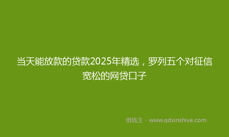 当天能放款的贷款2025年精选，罗列五个对征信宽松的网贷口子