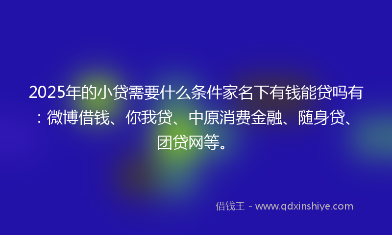 2025年的小贷需要什么条件家名下有钱能贷吗有：微博借钱、你我贷、中原消费金融、随身贷、团贷网等。