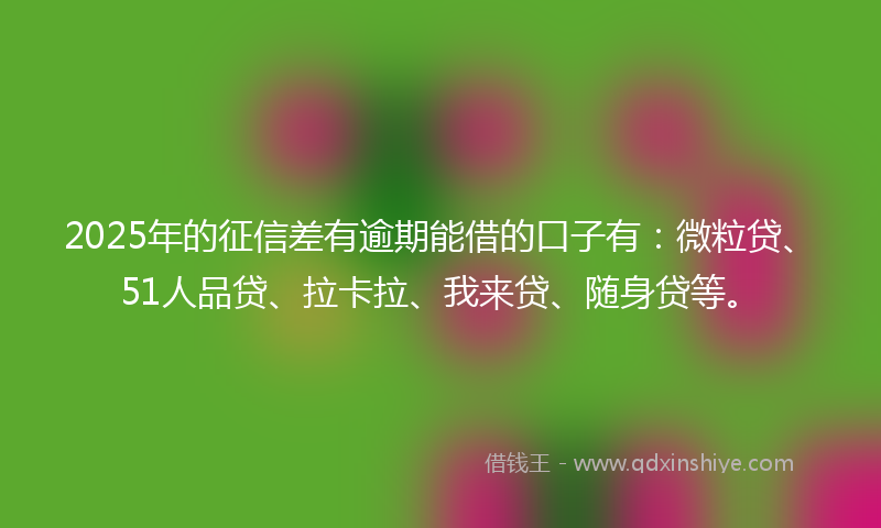 2025年的征信差有逾期能借的口子有：微粒贷、51人品贷、拉卡拉、我来贷、随身贷等。