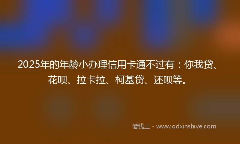 2025年的年龄小办理信用卡通不过有：你我贷、花呗、拉卡拉、柯基贷、还呗等。