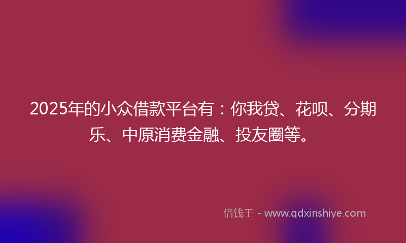 2025年的小众借款平台有：你我贷、花呗、分期乐、中原消费金融、投友圈等。