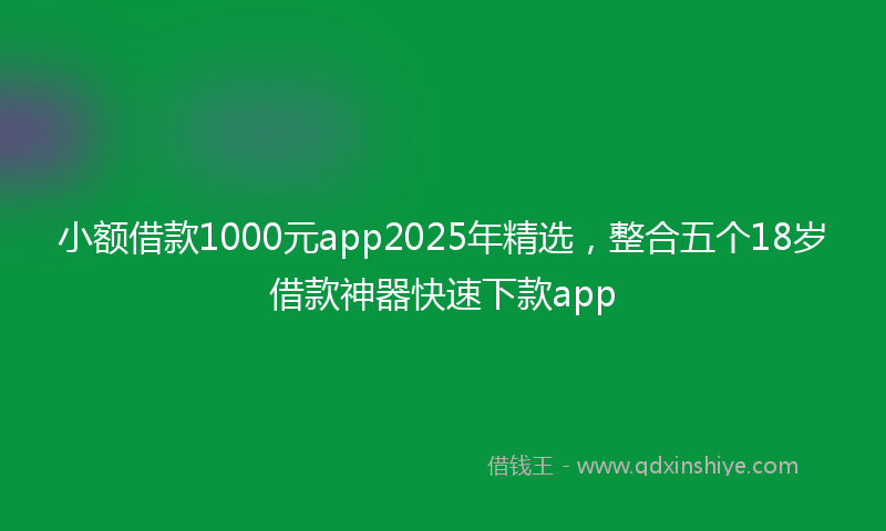 小额借款1000元app2025年精选，整合五个18岁借款神器快速下款app