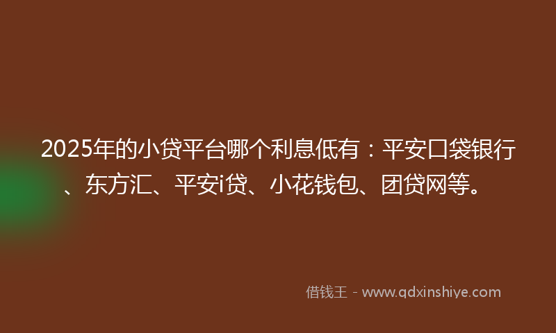 2025年的小贷平台哪个利息低有：平安口袋银行、东方汇、平安i贷、小花钱包、团贷网等。