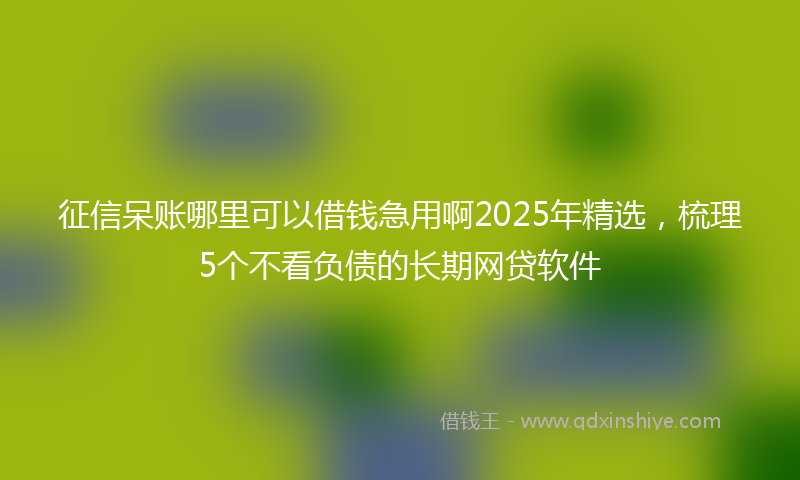 征信呆账哪里可以借钱急用啊2025年精选，梳理5个不看负债的长期网贷软件