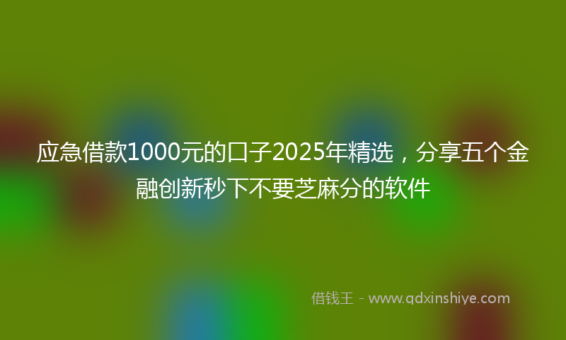 应急借款1000元的口子2025年精选，分享五个金融创新秒下不要芝麻分的软件